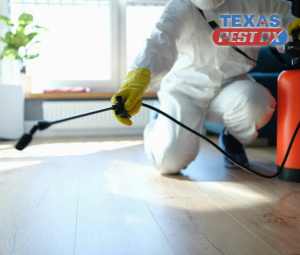 Emergency Pest Control Services: What to Do When Infestations Strike