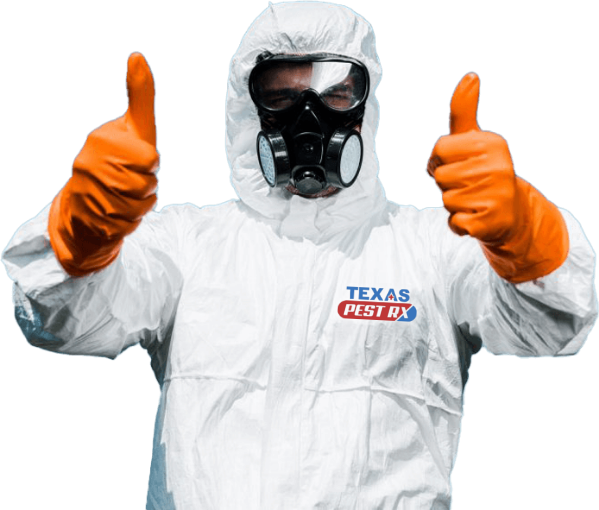 Pest Control Service in Floresville, TX