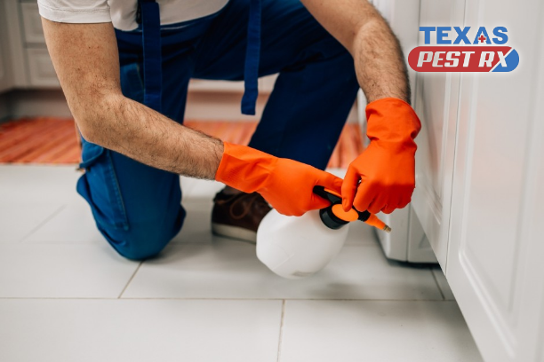 Pest Control Service Floresville, TX