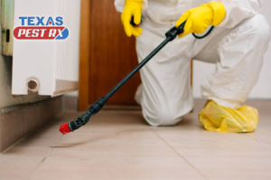 Affordable Pest Control Services Without Compromising Quality
