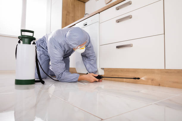 Affordable Exterminator Services