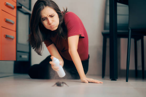 Woman Spraying on Cockroach Pest Control