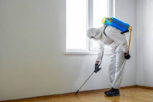 How Texas Pest Control Professionals Handle Stinging Insect Problems Safely