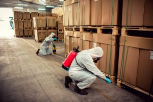 Termite Infestation Warning Signs and When to Call Termite Control Services