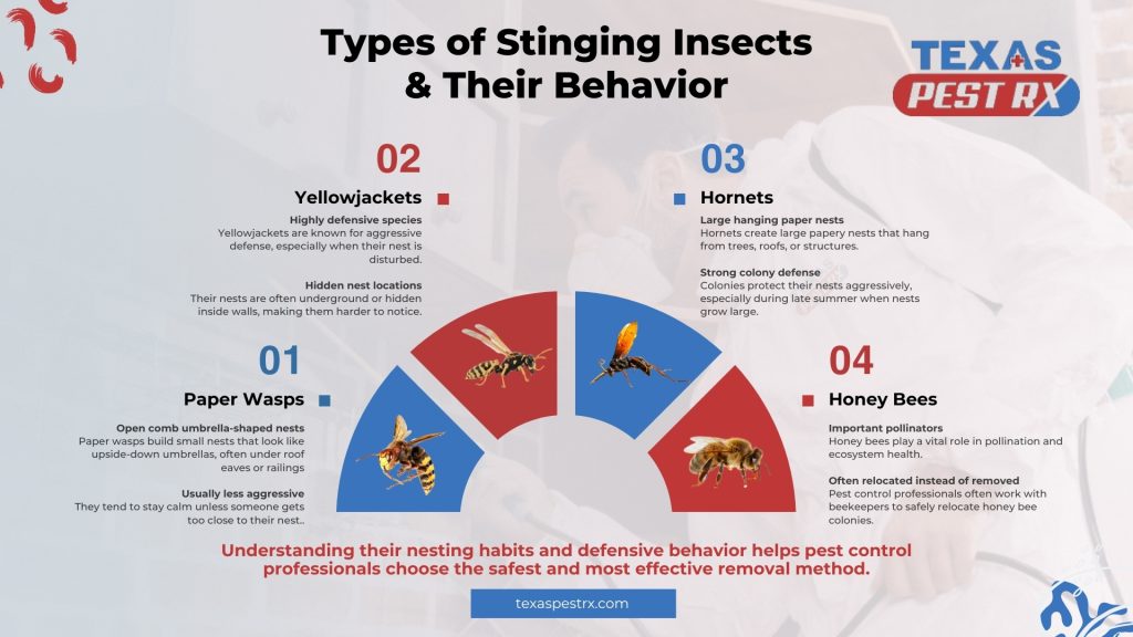 Pest Control Professionals Handle Stinging Insect Problems Floresville, TX