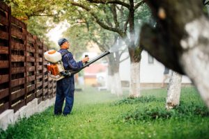 Why Texas Mosquitoes Get Worse in Summer And Fixes