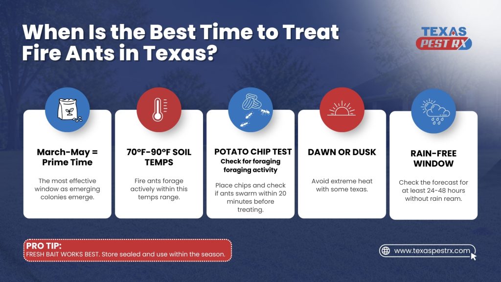 san antonio pest control