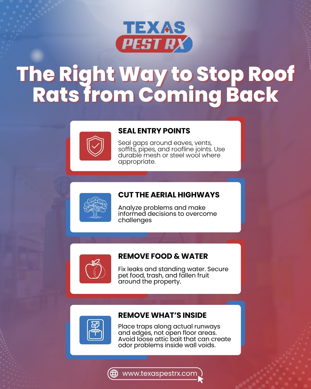 rodent pest control