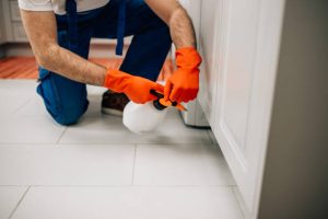 Roof Rats in the Attic: A Texas Summer Warning