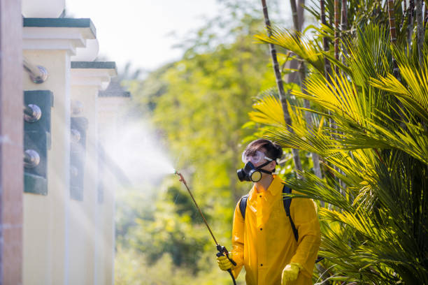 Pest control worker spraying pesticide on plants near house