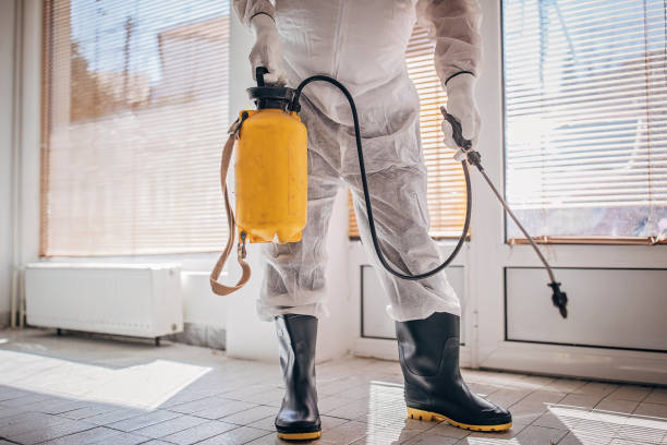 Pest control technician in protective suit spraying indoors